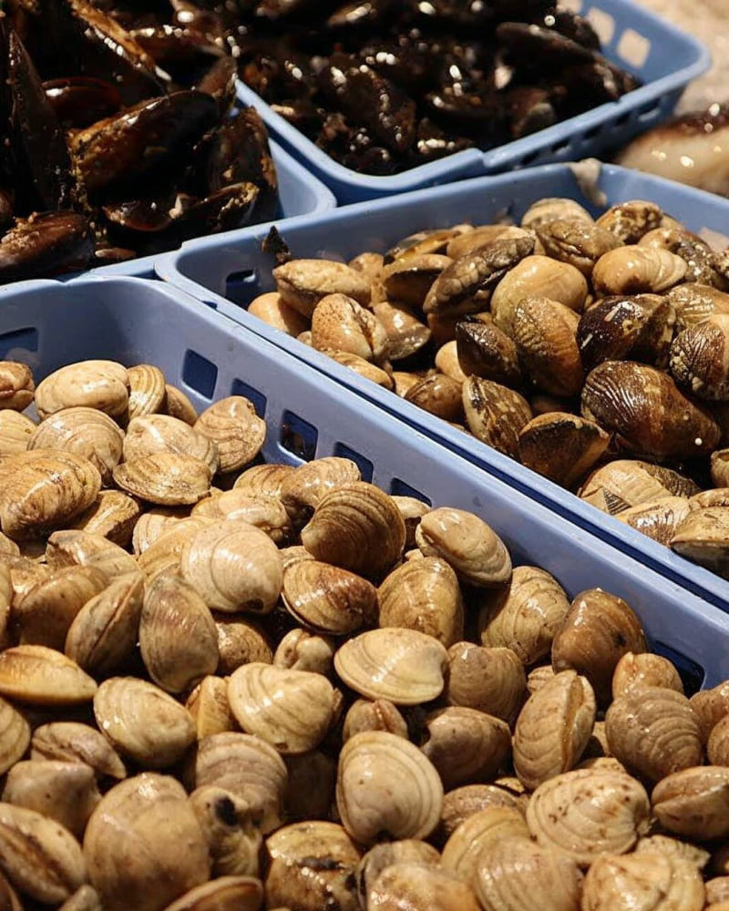 A Peixos Marina, la frescor i la qualitat del producte són la nostra prioritat