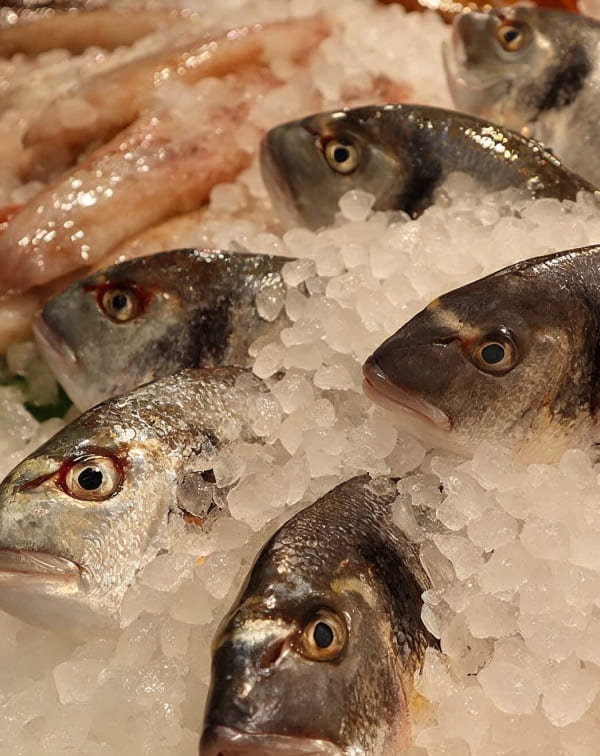 La qualitat i frescor de Peixos Marina